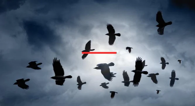 "أسراب الغربان فوق بيت نتنياهو في قيسارية"