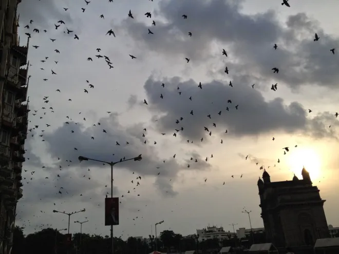 "أسراب الغربان فوق بيت نتنياهو في قيسارية"