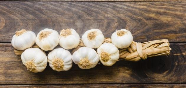 طريقة تخزين الثوم في الفريزر