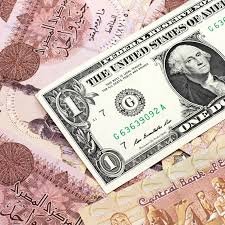 الجنيه المصري