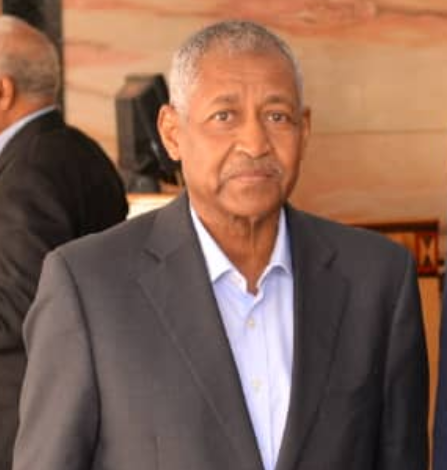  الدولة المصرية