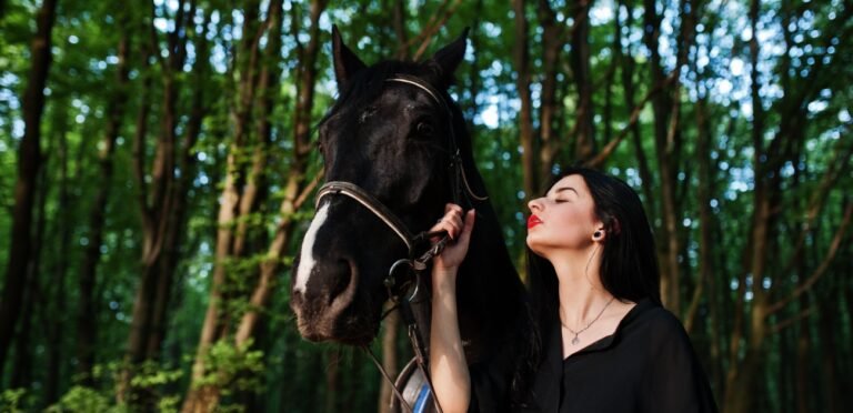 حلم الحصان: هل يشير إلى سفر أم علاقة عاطفية؟