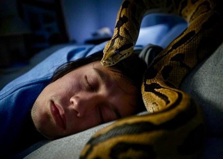 تفسير حلم الثعبان: هل هو عدو أم تحذير؟