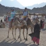 62 155548 adventures heart egyptian desert 7