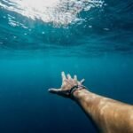 73886 البحر158280397