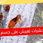 maxresdefault2035538196