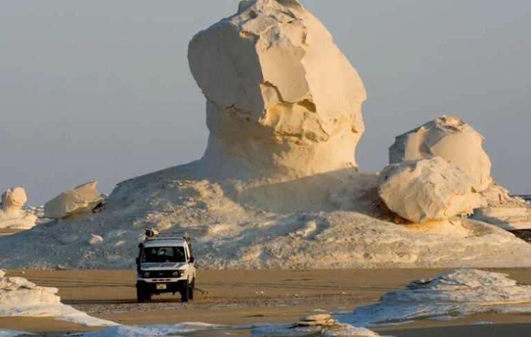 سياحة السفاري في الصحراء البيضاء: دليل المبتدئين