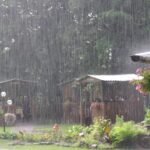 تفسير حلم المطر الغزير في النهار1352368428