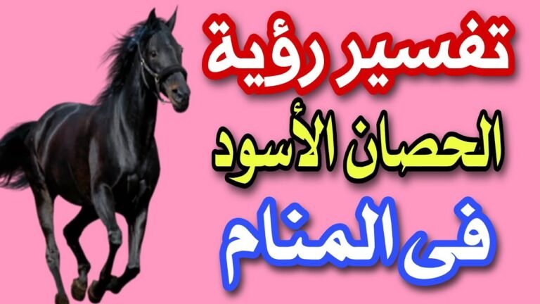 تفسير حلم الحصان الأسود
