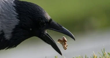 201805221224552455 1