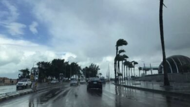 طقس غد دافئ نهاراً بـ 13 درجة للصغرى بالقاهرة.. تحذيرات من الشبورة والأمطار 7 طقس غد