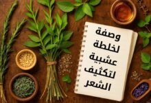 خلطات لنمو الشعر.. 10 وصفات طبيعية لتطويل وتكثيف الفراغات في عام 2026 9 خلطات لنمو الشعر