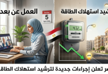 ترشيد استهلاك الطاقة.. قرارات حكومية جديدة تشمل العمل عن بعد وغلق المحال (تفاصيل) 12 ترشيد استهلاك الطاقة