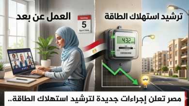 ترشيد استهلاك الطاقة.. قرارات حكومية جديدة تشمل العمل عن بعد وغلق المحال (تفاصيل) 5 ترشيد استهلاك الطاقة