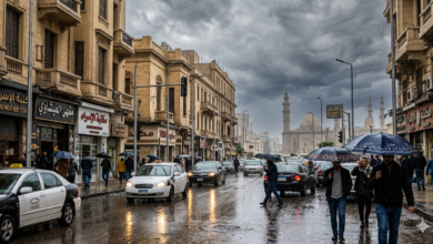 حالة الطقس اليوم