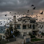 أسراب من الغربان السوداء تحلق فوق بيت نتنياهو في قيسارية بلمسة سينمائية