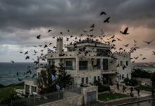 أسراب من الغربان السوداء تحلق فوق بيت نتنياهو في قيسارية بلمسة سينمائية