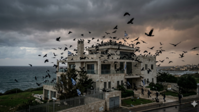 أسراب من الغربان السوداء تحلق فوق بيت نتنياهو في قيسارية بلمسة سينمائية