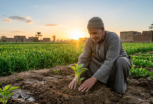 "صورة روحانية تعبر عن تفسير حلم الزرع في المنام، تظهر مزارعاً بملابس تقليدية يغرس شتلة خضراء في أرض خصبة وقت الشروق، مما يرمز للنماء والرزق والعمل الصالح وبداية حياة جديدة."