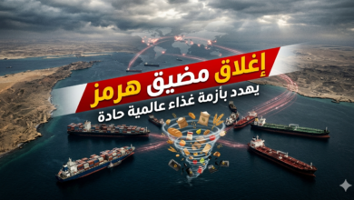 إغلاق مضيق هرمز يهدد بأزمة غذاء عالمية وارتفاع جنوني للأسعار 4 تأثير إغلاق مضيق هرمز على سلاسل توريد الغذاء العالمية 2026.