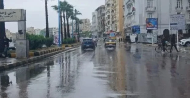 IMG ٢٠٢٦٠٣٢١ ٢٢٤٦٥٦