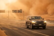 الدليل الشامل للنجاة من حوادث الطرق