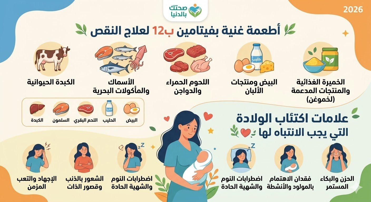 "إنفوجرافيك شامل يوضح قائمة الأطعمة الغنية بفيتامين ب12 مثل الكبدة والأسماك واللحوم الحمراء، مع توضيح مصور لأهم علامات اكتئاب الولادة النفسية والجسدية للأمهات في عام 2026."