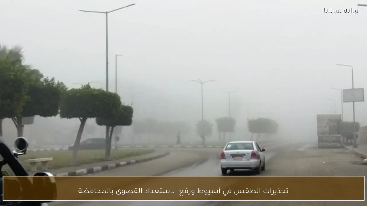 تحذيرات عاجلة في أسيوط بسبب الطقس.. رفع حالة الاستعداد القصوى بالمحافظة 1 تحذيرات طقس أسيوط اليوم ورفع حالة الاستعداد القصوى بالمحافظة