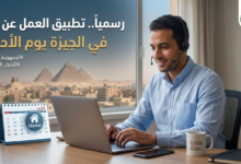 العمل عن بعد في الجيزة