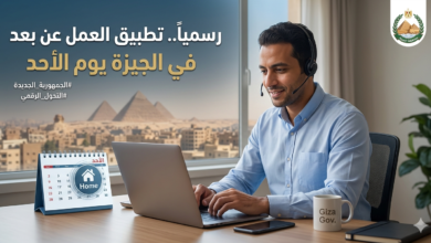 العمل عن بعد في الجيزة