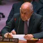 أبو الغيط بمجلس الأمن