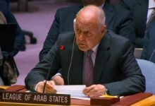 أبو الغيط بمجلس الأمن