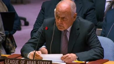 أبو الغيط بمجلس الأمن