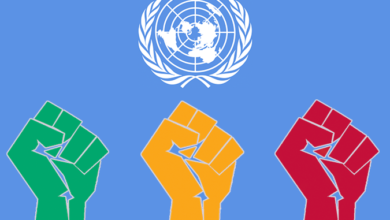 الائتلاف المصرى