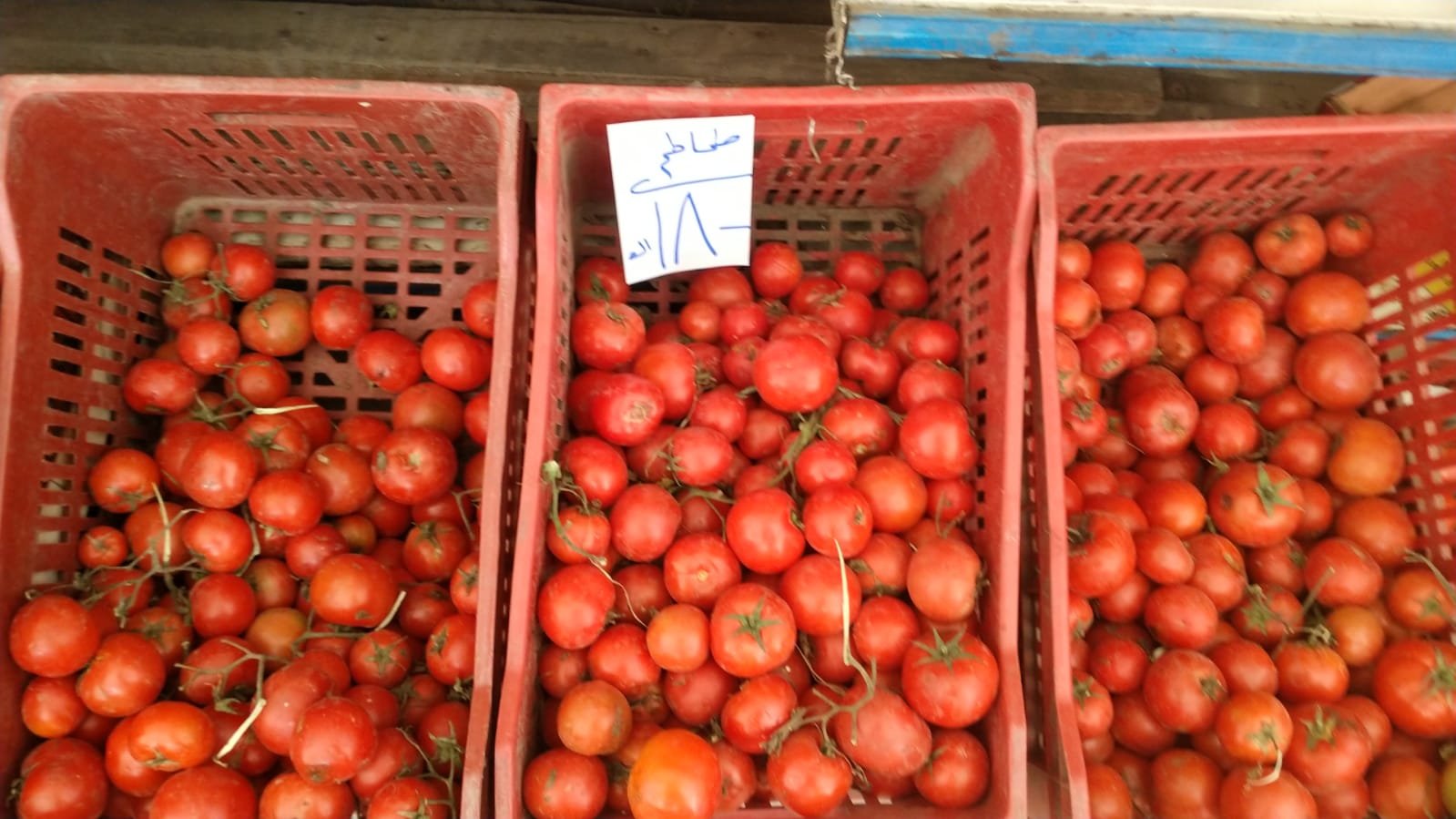 وزارة التموين تطرح الطماطم بمنافذ المجمعات الاستهلاكية.. اعرف أسعار اليوم 5 أبريل 1 وزارة التموين