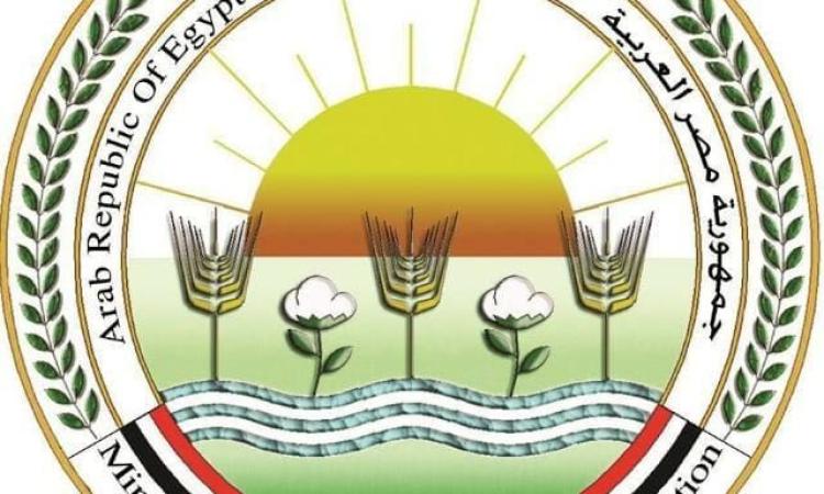 زراعة