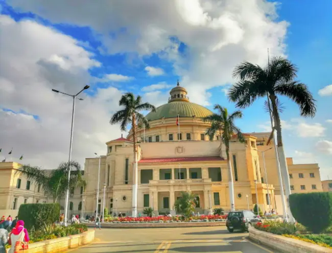 جامعة القاهرة