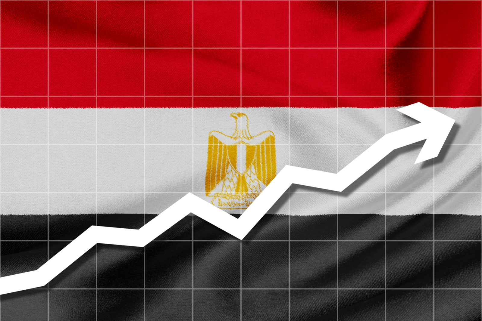 أخبار