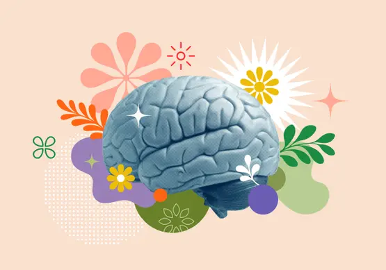 صحة الدماغ والذاكرة