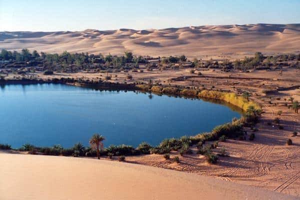 السياحة العلاجية بالواحات