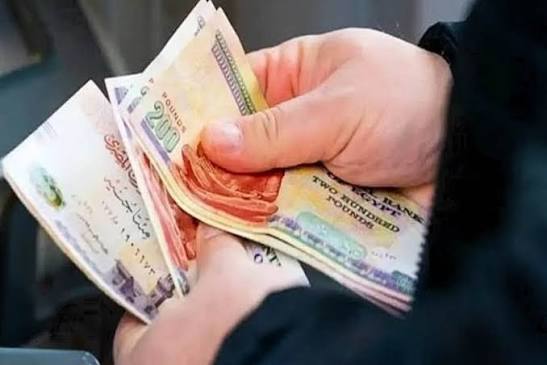 زيادة المعاشات